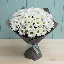 Букет белые хризантемы #REPLACE_PRED# Белгороде Букет цветов из:  Хризантемы #REPLACE_PRED# Белгороде