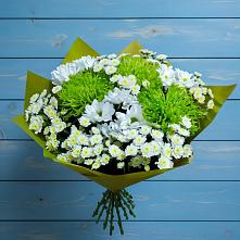 Букет цветов из:  Хризантемы #REPLACE_PRED# Белгороде