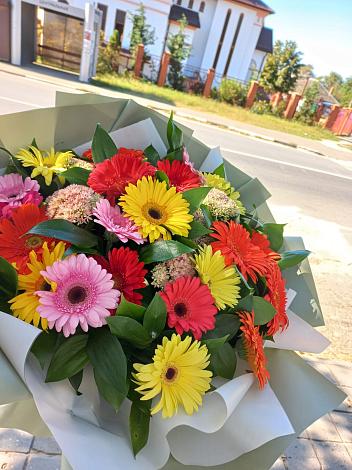 Букет цветов из: Герберы в Белгороде